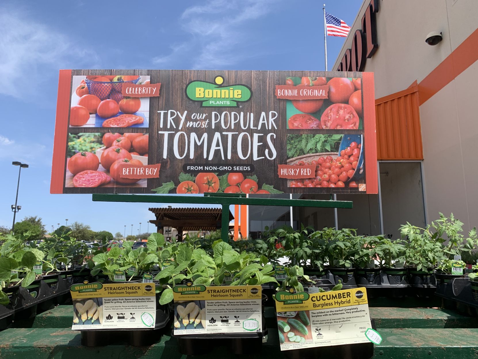 tomato photo